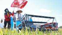 Rini Soemarno dengan semangat menjajal traktor milik kelompok tani.