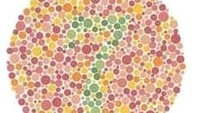 Ada angka 7 di dalam gambar ini. Kebanyakan orang yang buta warna akan kesulitan melihatnya. (Foto: colormax.org)