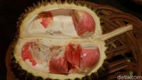 Suka Durian? Yuk Datang ke Kampung Durian di Banyuwangi