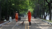Kawasan KBT Duren Sawit tampak rindang dengan pepohonan yang telah tumbuh besar.