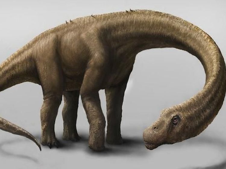 10 Dinosaurus Terbesar Sepanjang Sejarah