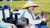 Nantinya hasil panen milik petani langsung diserap oleh BUMN.