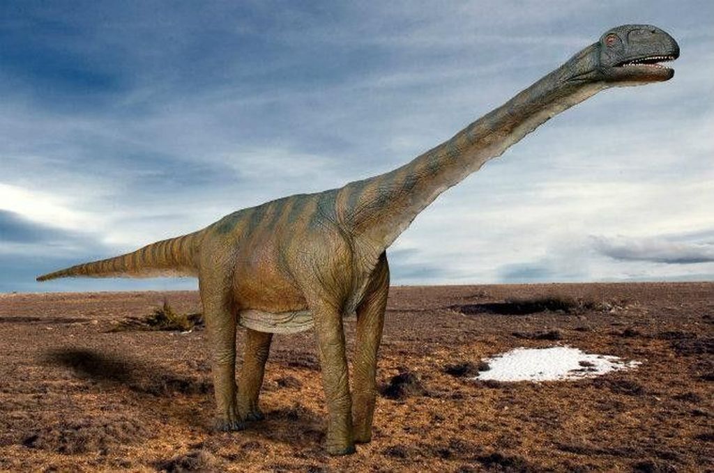 10 Dinosaurus  Terbesar Sepanjang Sejarah Foto 5