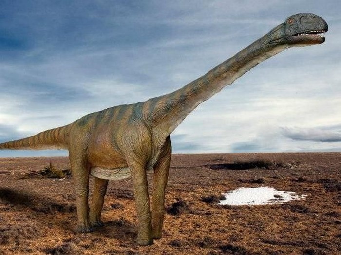 10 Dinosaurus Terbesar Sepanjang Sejarah