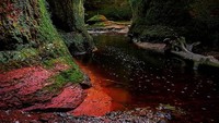 Finnich Glen merupakan jurang unik yang berada di balik hutan di Stirling. Jurang ini tadinya tidak populer, namun karena keunikannya jurang ini jadi tempat syuting salah satu stasiun tv swasta. (sirilin_and_svammi/Instagram)