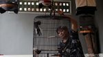 Burung Berkicau, Bisnis Sampingan Herry IP