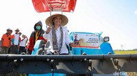 Pada panen raya kali ini kelompok tani Sumber Kedawung bersama Rini Soemarno memanen sebanyak 32 ton padi.