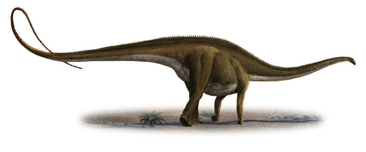 10 Dinosaurus Terbesar  Sepanjang  Sejarah 
