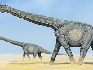 Fosil Dinosaurus Raksasa Ditemukan di Argentina, Hidup 90 Juta Tahun Lalu