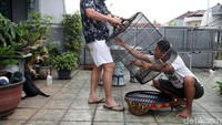 Nah, untuk kandang burung, Herry malah lebih serius. Dia memiliki tukang yang menerjemahkan desain yang dibuatnya.