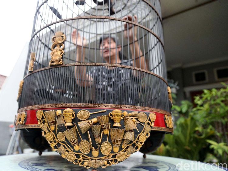Burung Berkicau, Bisnis Sampingan Herry IP