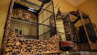Herry juga mengaku pernah rugi saat burung ditawar orang dengan harga mahal, nggak dilepas tapi malah mati atau lepas.