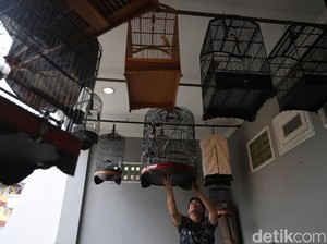 Herry IP di Antara Bulutangkis, Keluarga, dan Burung Berkicau
