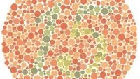 Di sini ada angka 15. Orang yang buta warna merah mungkin melihat angka 17. (Foto: colormax.org)
