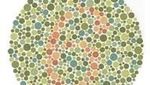 Tes Buta Warna, Angka yang Dilihat Bisa Tentukan Jenis Buta Warna Kamu