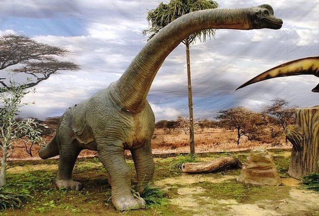 10 Dinosaurus Terbesar Sepanjang Sejarah Foto 7