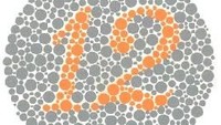 Semua orang termasuk yang buta warna harusnya bisa melihat angka 12. (Foto: colormax.org)