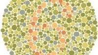 Gambar ini menyembunyikan angka 6. Orang buta warna apa saja akan sulit melihatnya. (Foto: colormax.org)