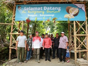 Suka Durian? Yuk Datang ke Kampung Durian di Banyuwangi