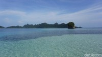Hiu-hiu yang ada di pantai tersebut sebenarnya sudah jinak dan masih kecil. Sehingga, aman untuk diajak snorkeling. Tapi, harus patuh dengan arahan ranger ya! (Shinta/detikTravel)