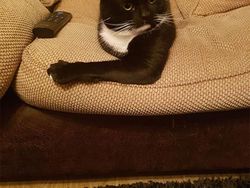 Deretan Foto Ilusi yang Bikin Mengerutkan Dahi