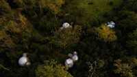 Hotel ini menyerupai rumah Sandy si tupai teman Sponge Bob yakni berbentuk gelembung kaca dan bisa melihat pemandangan dengan luas. Foto: Istimewa/Finn Lough.