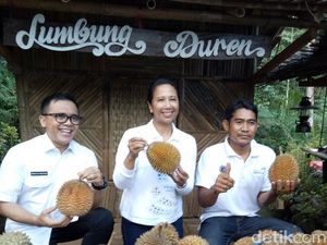 Saat Menteri Rini Soemarno Pesta Durian di Banyuwangi