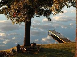 Deretan Foto Ilusi yang Bikin Mengerutkan Dahi