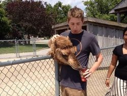 Deretan Foto Ilusi yang Bikin Mengerutkan Dahi