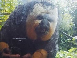 Deretan Foto Ilusi yang Bikin Mengerutkan Dahi