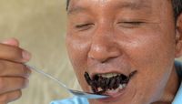 Terancam Punah, Tarantula Goreng Khas Kamboja Kini Mahal Harganya