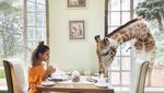 Seru dan Asyik! Makan Ditemani Jerapah dengan Pemandangan Indah di Tempat Ini