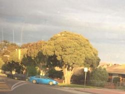 Deretan Foto Ilusi yang Bikin Mengerutkan Dahi