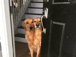 Deretan Foto Ilusi yang Bikin Mengerutkan Dahi