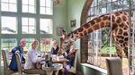Seru dan Asyik! Makan Ditemani Jerapah dengan Pemandangan Indah di Tempat Ini