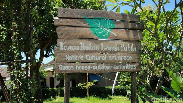 Pusat seni budaya sekaligus penginapan bertema alam (Randy/detikTravel)