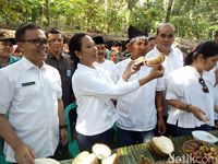 Menteri BUMN Rini Soemarno mencicipi berbagai durian di Kampung Durian, Banyuwangi (Ardian Fanani/detikTravel)