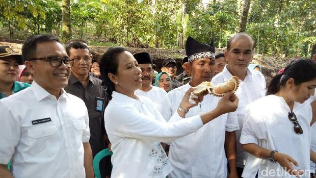Saat Menteri Rini Soemarno Pesta Durian di Banyuwangi