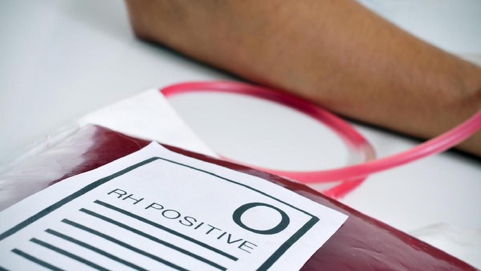 closeup of a blood bag with a label with the text O RH positive on the doctors office