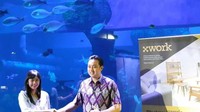 Ada juga XWORK Akuarium. Kantor ini menawarkan suasana kerja seperti di dalam akuarium. XWORK Akuarium/Istimewa.