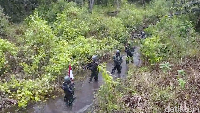 Setelah itu, berjalan di atas rawa menembus hutan rimba (Okta Marfianto/detikTravel)