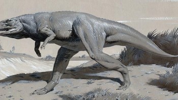 Ahli reproduksi Sherman Silber berspekulasi bahwa dinosaurus punah karena spesies tersebut terlalu banyak yang berjenis kelamin laki-laki sehingga sangat sulit untuk mendapatkan pasangan. Meski begitu, masih belum diketahui bagaimana dinosaurus bisa memiliki terlalu banyak spesies dengan jenis kelamin laki-laki. Foto: nhm.ac.uk