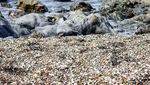 Foto: Sungguhan Ada, Ini Pantai Berpasir Kaca