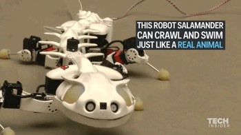 Pleurobot. Robot berbentuk seperti Salamander ini bernama Pleurobot ini membantu para peneliti memahami evolusi hewan dan terapi saraf tulang belakang. Para developer dari EPFL, Swiss Federal Institute of Technology meneliti 64 titik tubuh tulang belakang salamander untuk menciptakannya. Robot ini juga bisa digunakan dalam misi penyelamatan saat terjadi bencana. Foto: Tech Insider