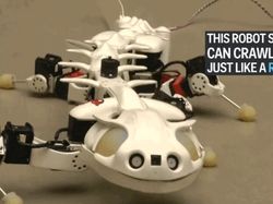 Robot-robot Canggih Ini Meniru Hewan