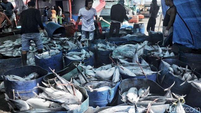 Dikritik Fahri, Ini Fakta-fakta Susi Berantas Illegal Fishing