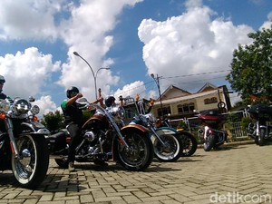 Kulit Bison Paling Oke Buat Bahan Jaket Motor