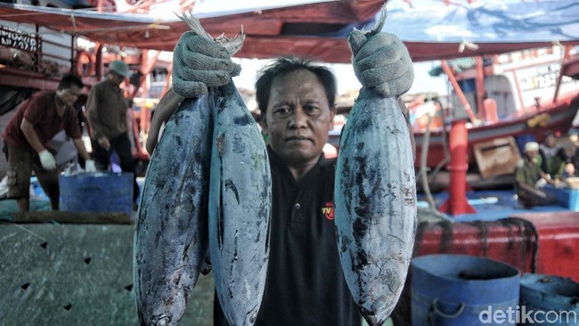 70% Wilayahnya Lautan, Kok Indonesia Masih Impor Ikan?