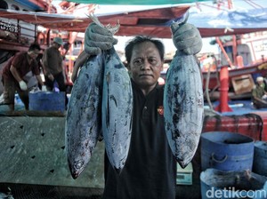 Pengusaha Ikan: Kalau Ada di Indonesia Kita Nggak Impor