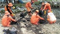 Usai menerima laporan pagi hari tadi, petugas Dinas Lingkungan Hidup Kepulauan Seribu segera membersihkan ceceran minyak itu. Ada 10 personel yang dikerahkan langsung ke lokasi. (Dok Dinas Lingkungan Hidup Kepulauan Seribu DKI)